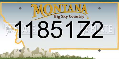 11851Z2 Montana License Plate
