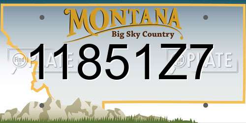 11851Z7 Montana License Plate