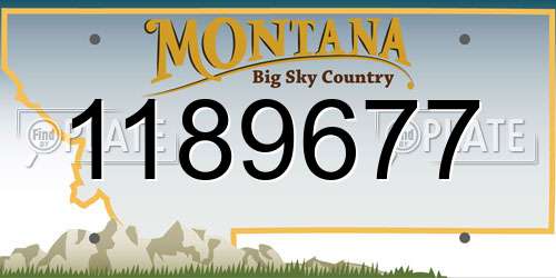 1189677 Montana License Plate