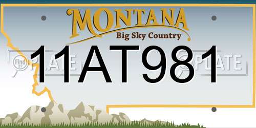 11AT981 Montana License Plate