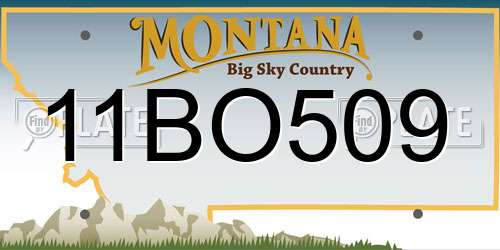 11BO509 Montana License Plate