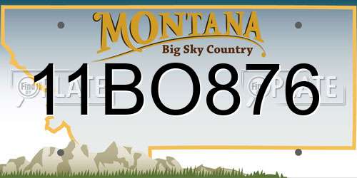 11BO876 Montana License Plate