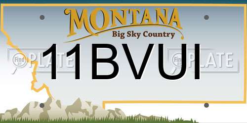 11BVUI Montana License Plate