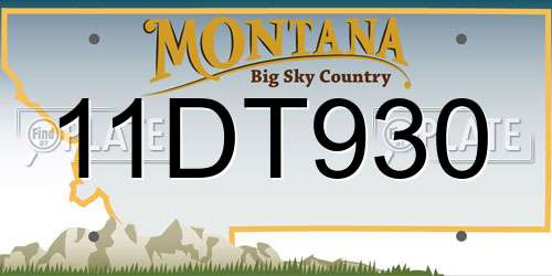 11DT930 Montana License Plate