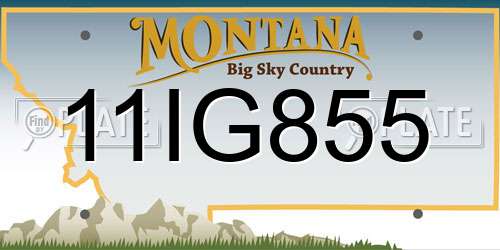 11IG855 Montana License Plate