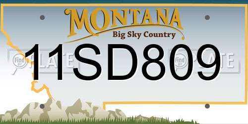 11SD809 Montana License Plate