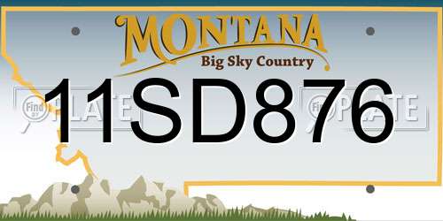 11SD876 Montana License Plate