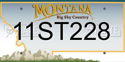 11ST228 Montana License Plate