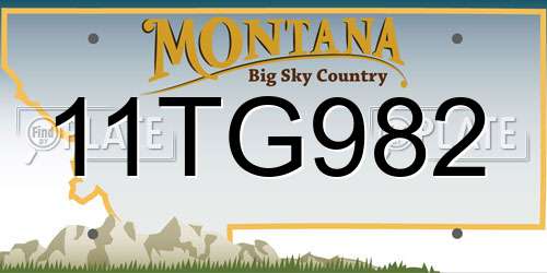11TG982 Montana License Plate