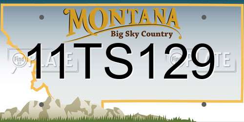 11TS129 Montana License Plate