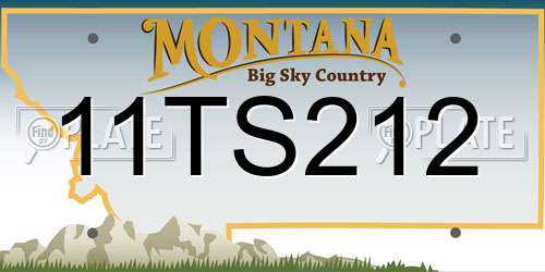 11TS212 Montana License Plate