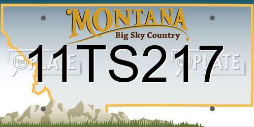 11TS217 Montana License Plate