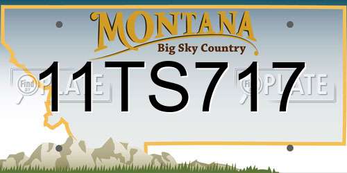 11TS717 Montana License Plate