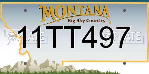 11TT497 Montana License Plate