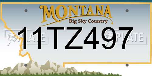 11TZ497 Montana License Plate