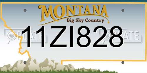 11ZI828 Montana License Plate