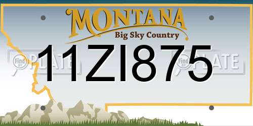 11ZI875 Montana License Plate