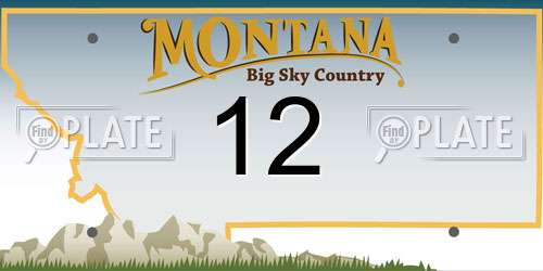 12 Montana License Plate