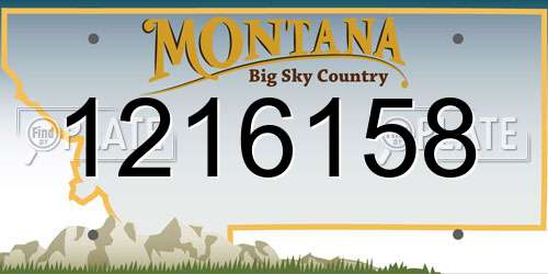 1216158 Montana License Plate