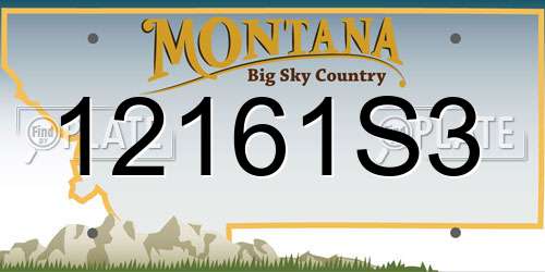 12161S3 Montana License Plate