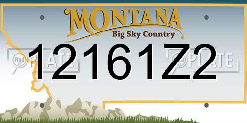 12161Z2 Montana License Plate