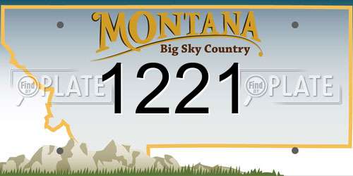 1221 Montana License Plate