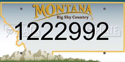 1222992 Montana License Plate