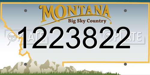 1223822 Montana License Plate
