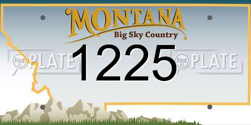 1225 Montana License Plate