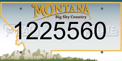 1225560 Montana License Plate
