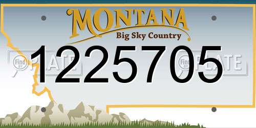 1225705 Montana License Plate