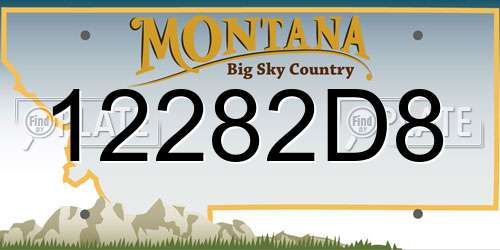 12282D8 Montana License Plate