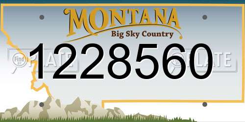 1228560 Montana License Plate
