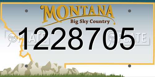 1228705 Montana License Plate