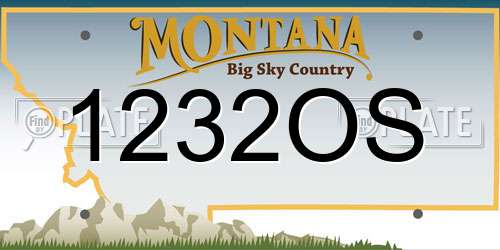 1232OS Montana License Plate