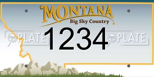 1234 Montana License Plate