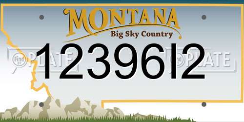 12396I2 Montana License Plate