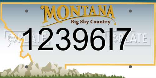 12396I7 Montana License Plate