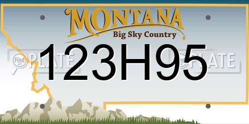 123H95 Montana License Plate