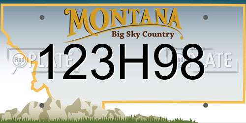 123H98 Montana License Plate