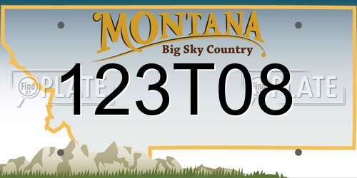 123T08 Montana License Plate