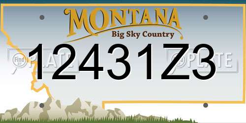 12431Z3 Montana License Plate