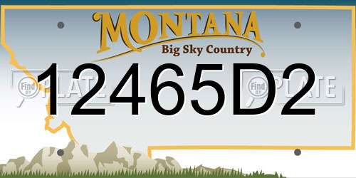 12465D2 Montana License Plate