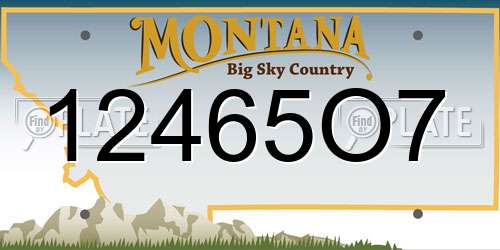 12465O7 Montana License Plate