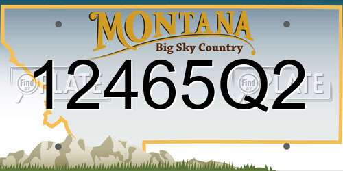 12465Q2 Montana License Plate