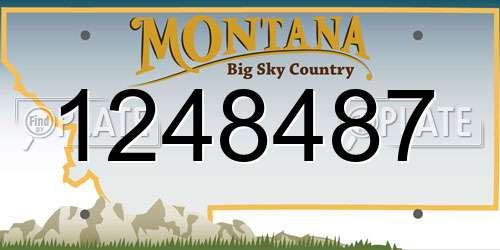 1248487 Montana License Plate