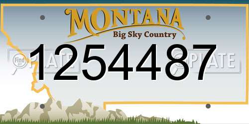 1254487 Montana License Plate