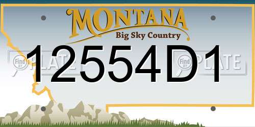12554D1 Montana License Plate