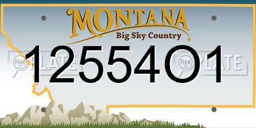 12554O1 Montana License Plate