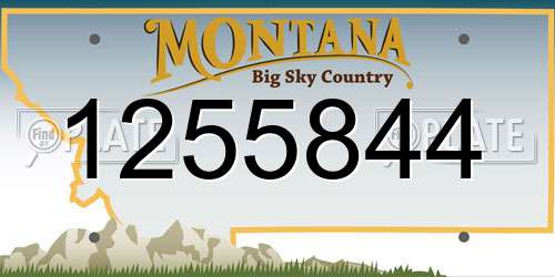 1255844 Montana License Plate